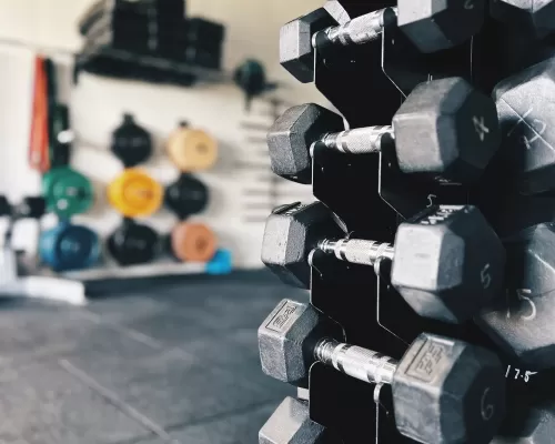 dumbbells displayed on a dumbbell rack